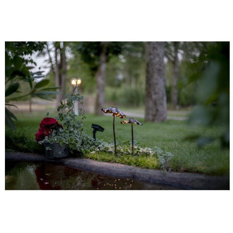 Star Trading Lumini 483-06 - Bild 3